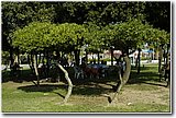 concorso (1209).jpg