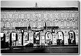 concorso (1229).jpg