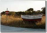 concorso (1234).jpg