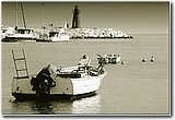 concorso (1241).jpg