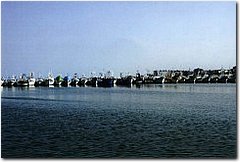 img_ (6036).jpg