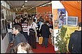 _DSC0056.JPG
