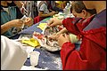 DSC_1093.JPG