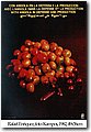cubani (71).jpg