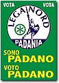 sonovotopadano.jpg