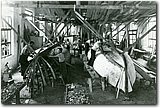 OT (16).jpg