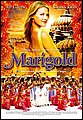 marigold.jpg