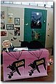 zelig (1).jpg