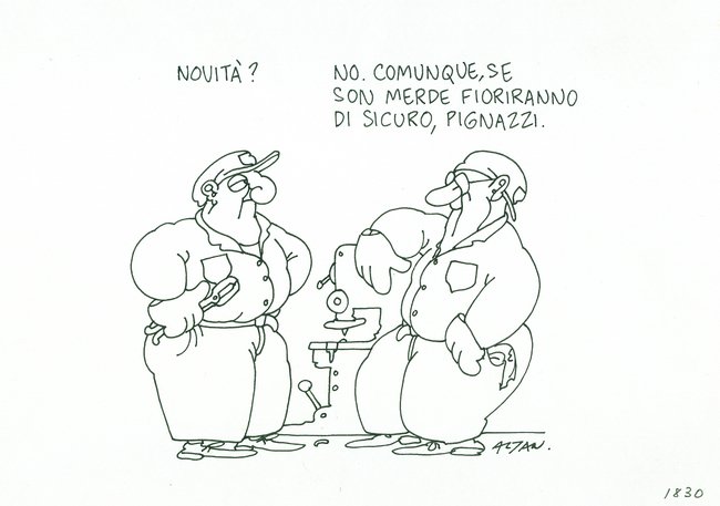 altan 13.jpg