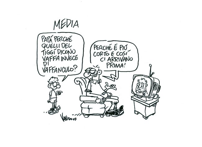 vauro 17.jpg