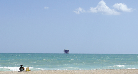 cartolina