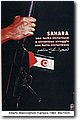 cubani (112).jpg