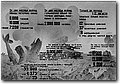 ww2_2 (228).jpg