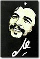 194.jpg