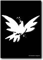 anar (322).jpg