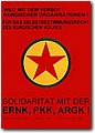 anar (71).jpg