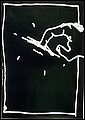 pva249.jpg