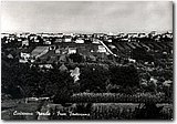 2135_2.jpg