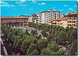 2362_2.jpg
