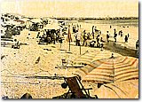2568415_2.jpg