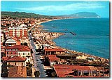 45897_2.jpg