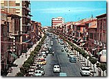 511_2.jpg