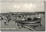 56782_2.jpg