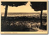 63256_2.jpg