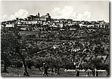785423_2.jpg