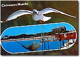9547_2.jpg