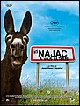 ici_najac.jpg